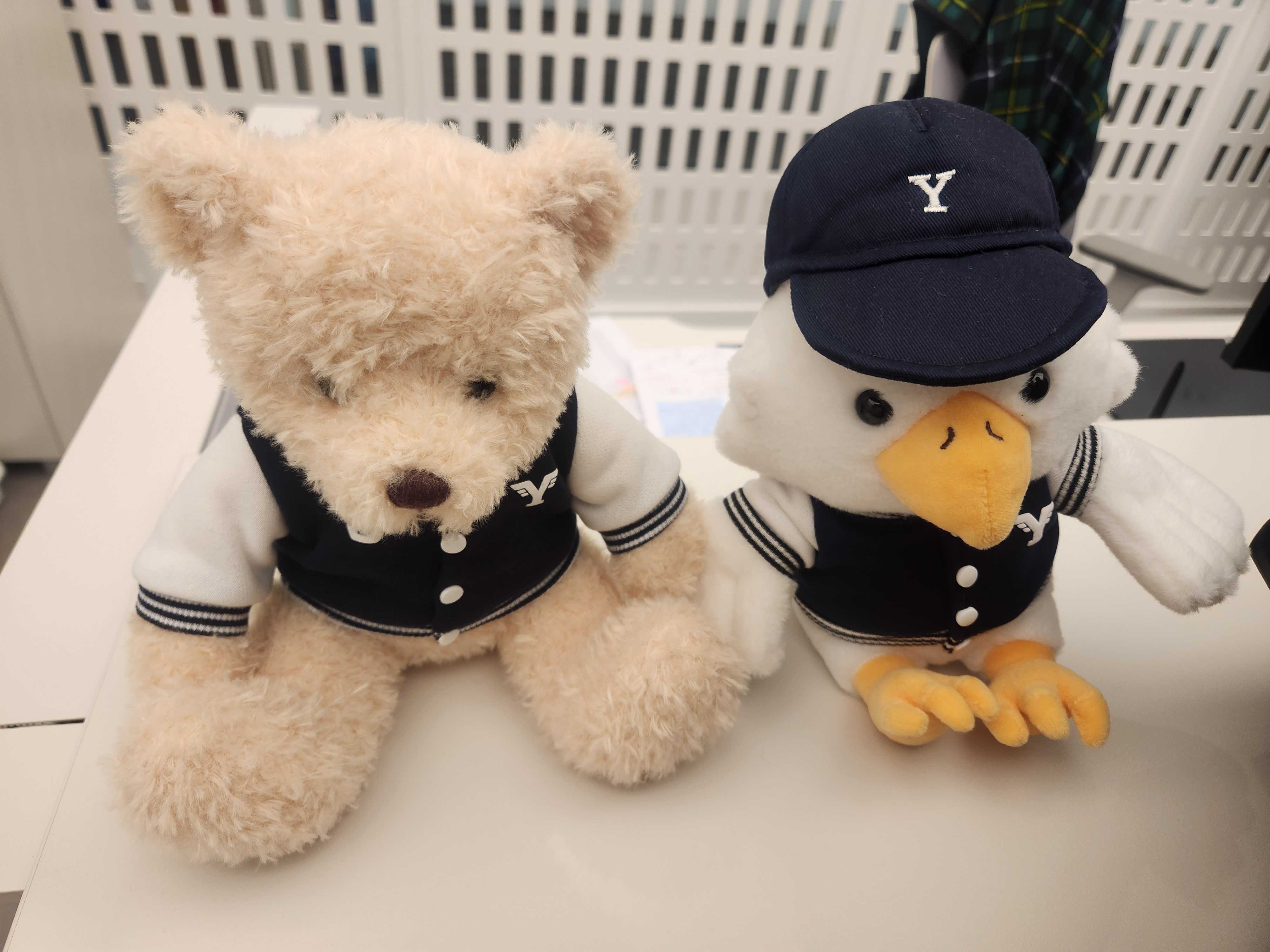 yonsei teddy bear & cuty eagle